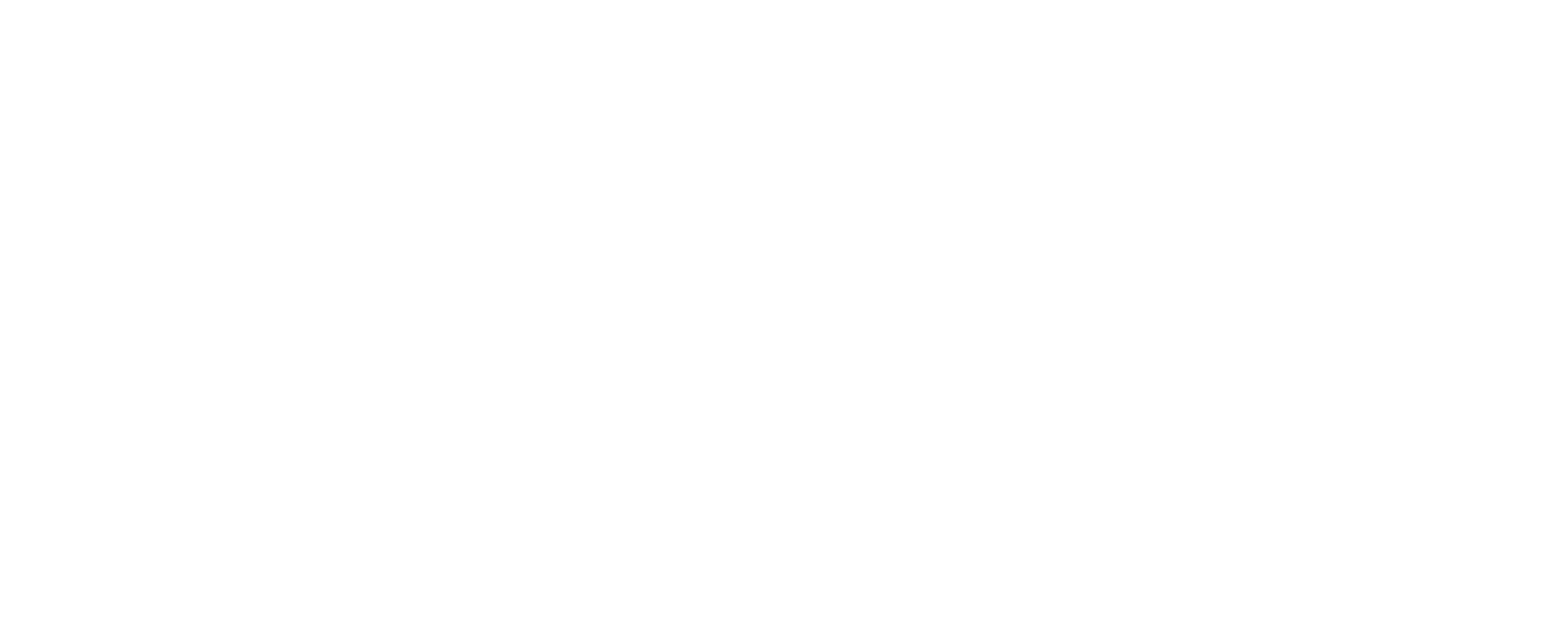 logo Zubizaharra